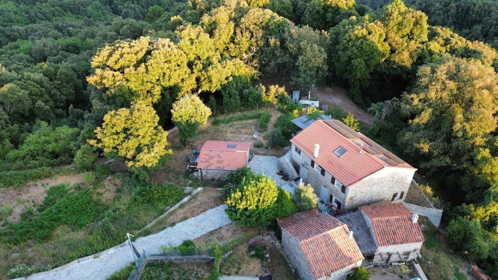Chez Paulette - Meuble De Tourisme Classe 3 Etoiles Zonza Ngoại thất bức ảnh